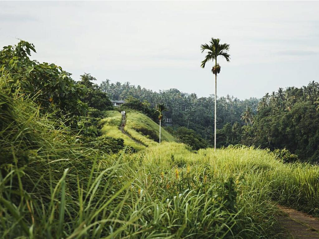 Sri Ratih Cottages, Chse Certified Ubud Exterior foto